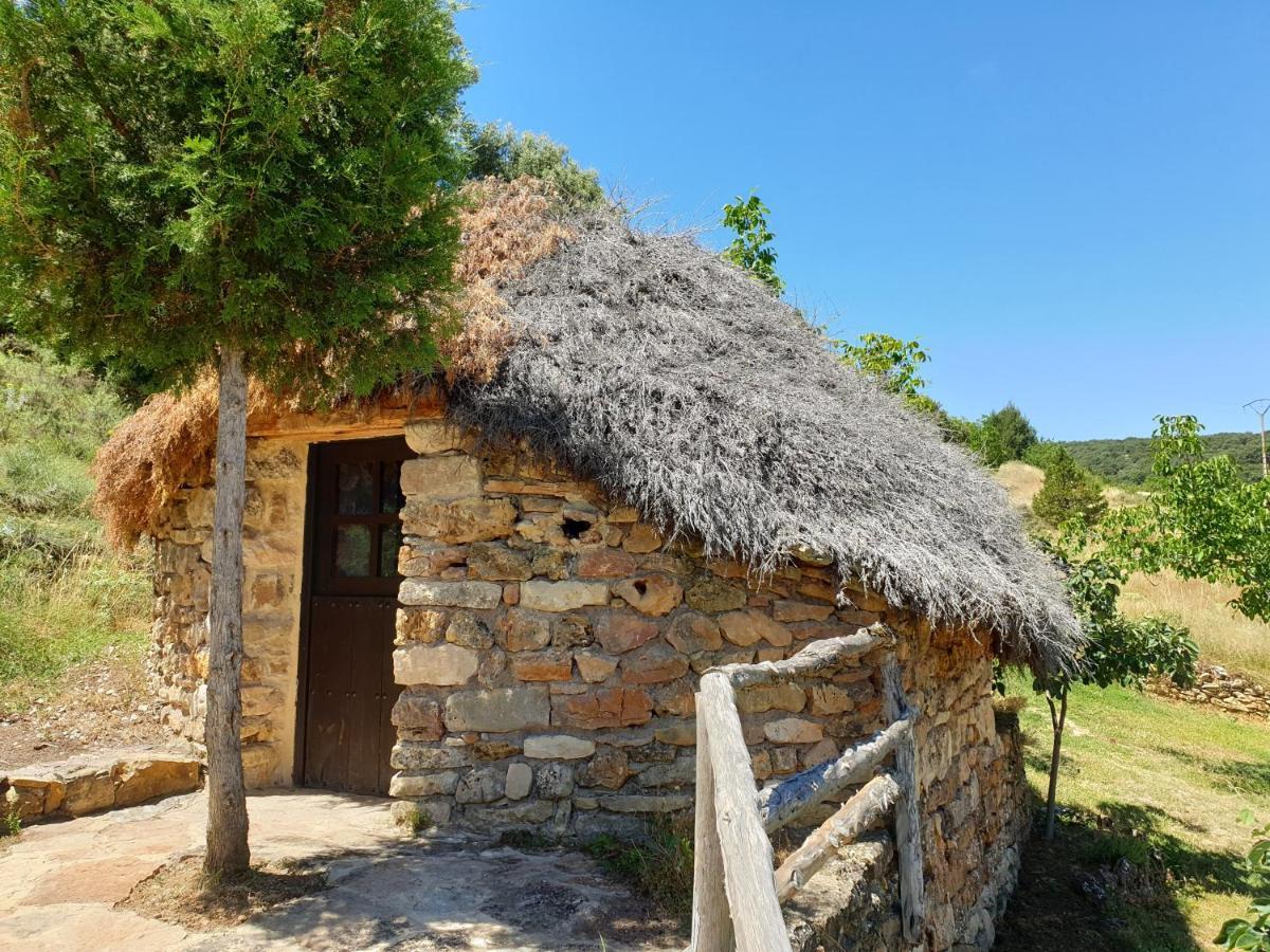Casa Rural Don Rosendo Olmeda de Cobeta Zewnętrze zdjęcie